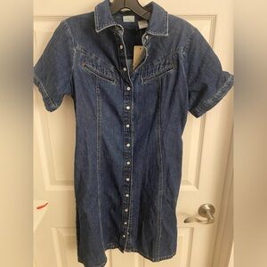 Levi’s Denim Button-Up Dress